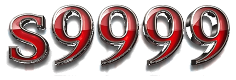 s9999game.com Logo